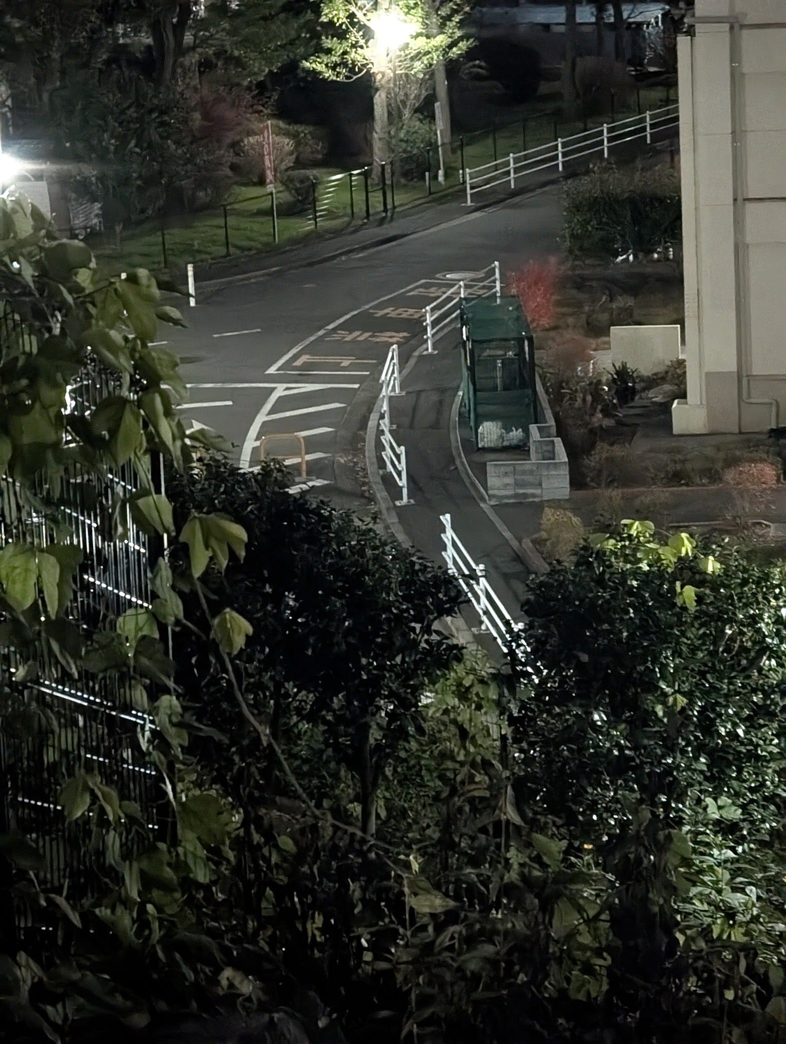 The road shot from a bush