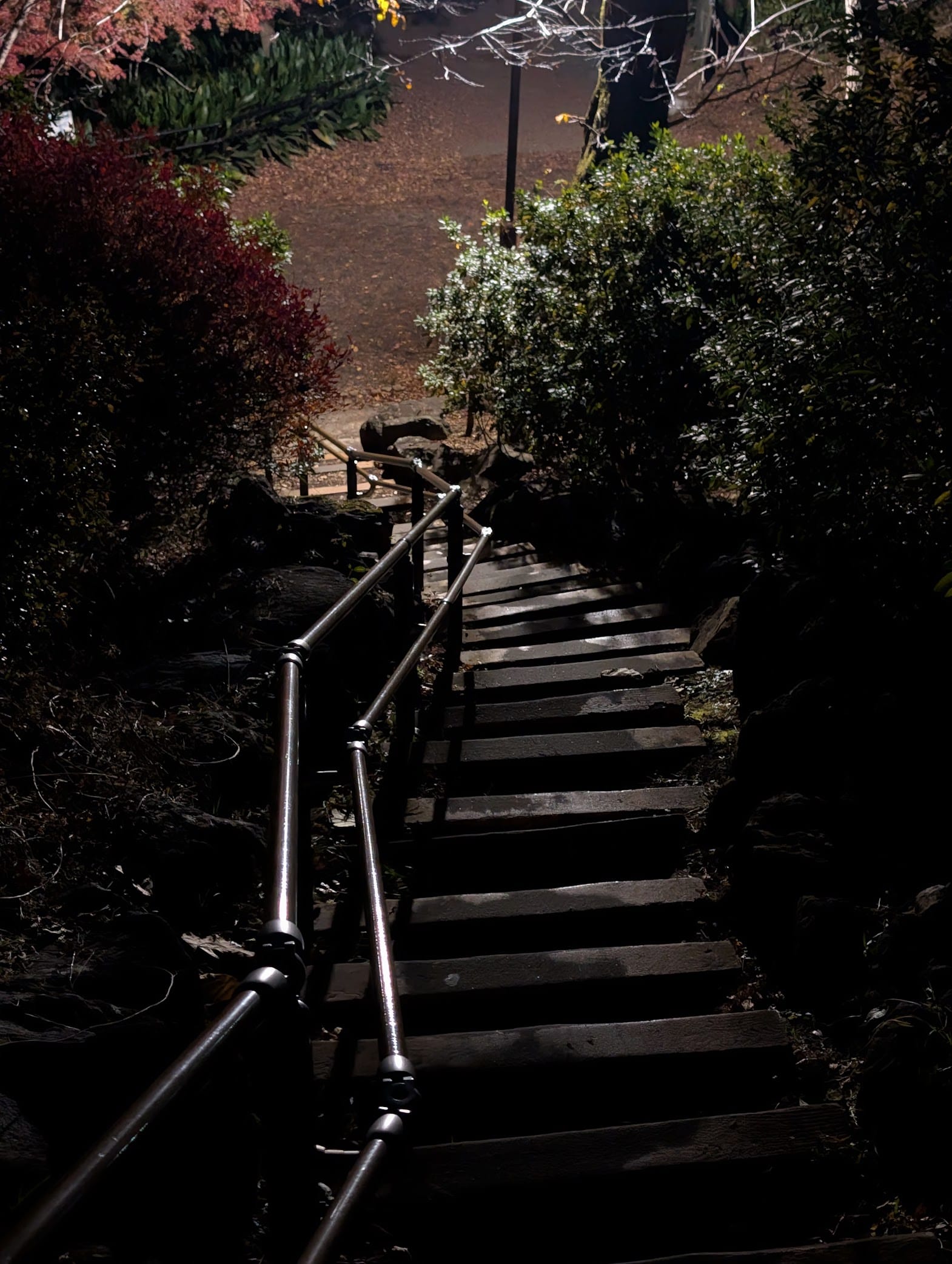 Barely illuminated wooden stairs