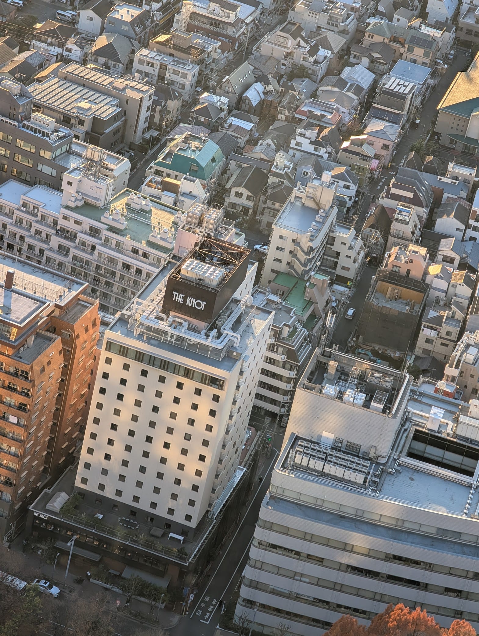 A building named The Knot