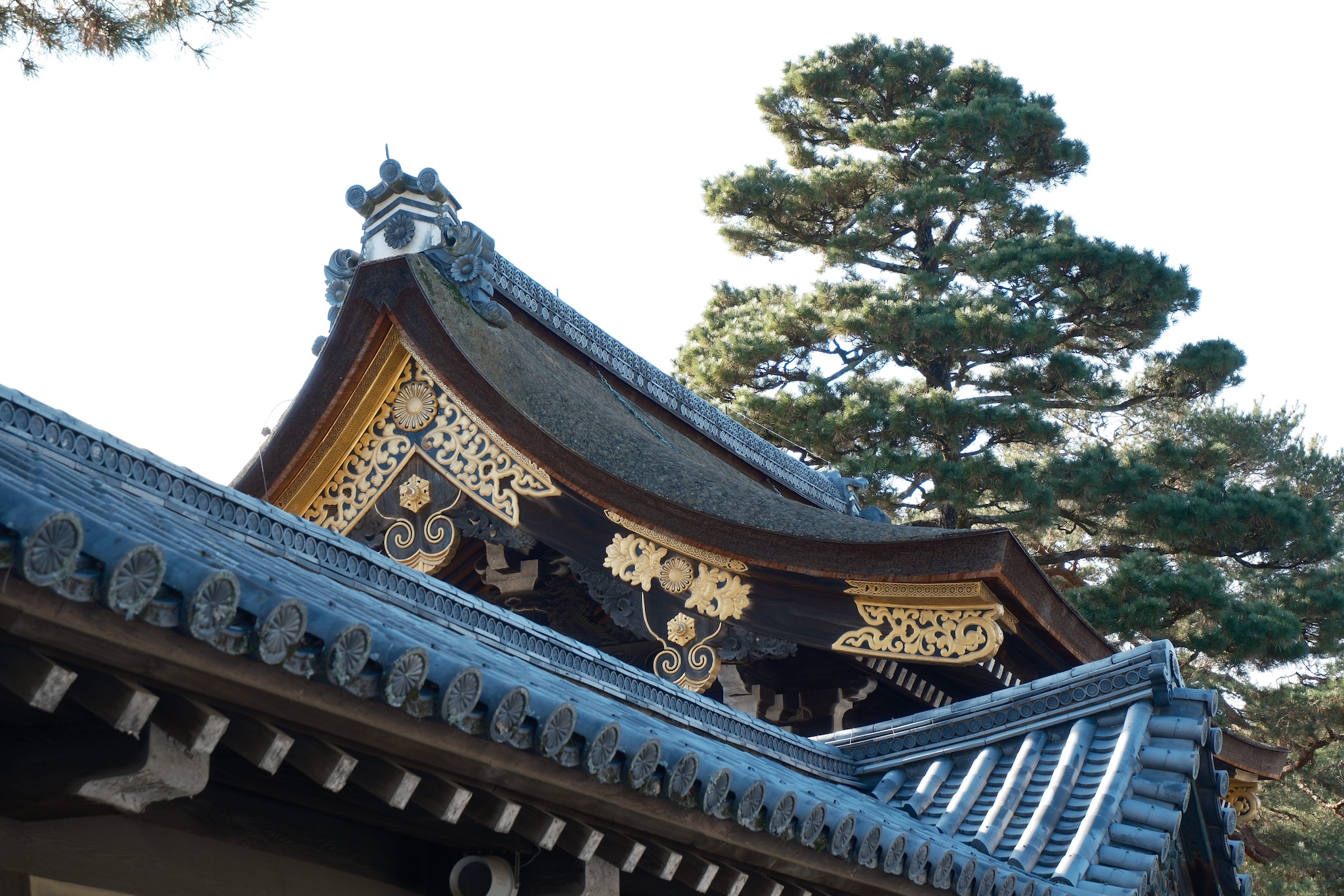 A golden karahafu roof on the perimeter wall with trees in the background