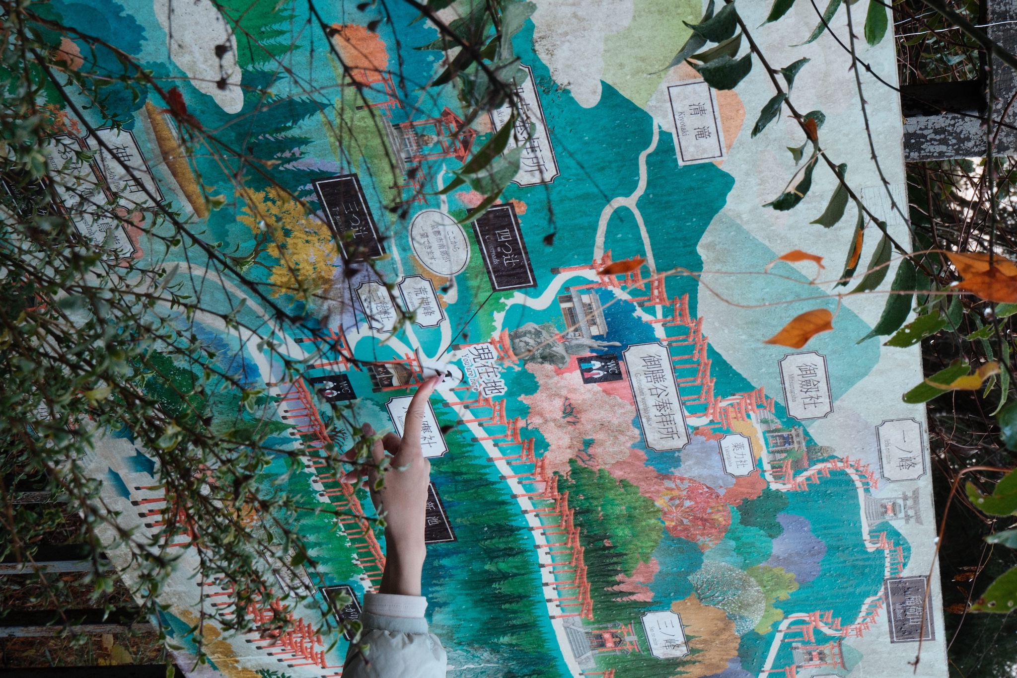 An arm pointing at the map of Fushimi Inari