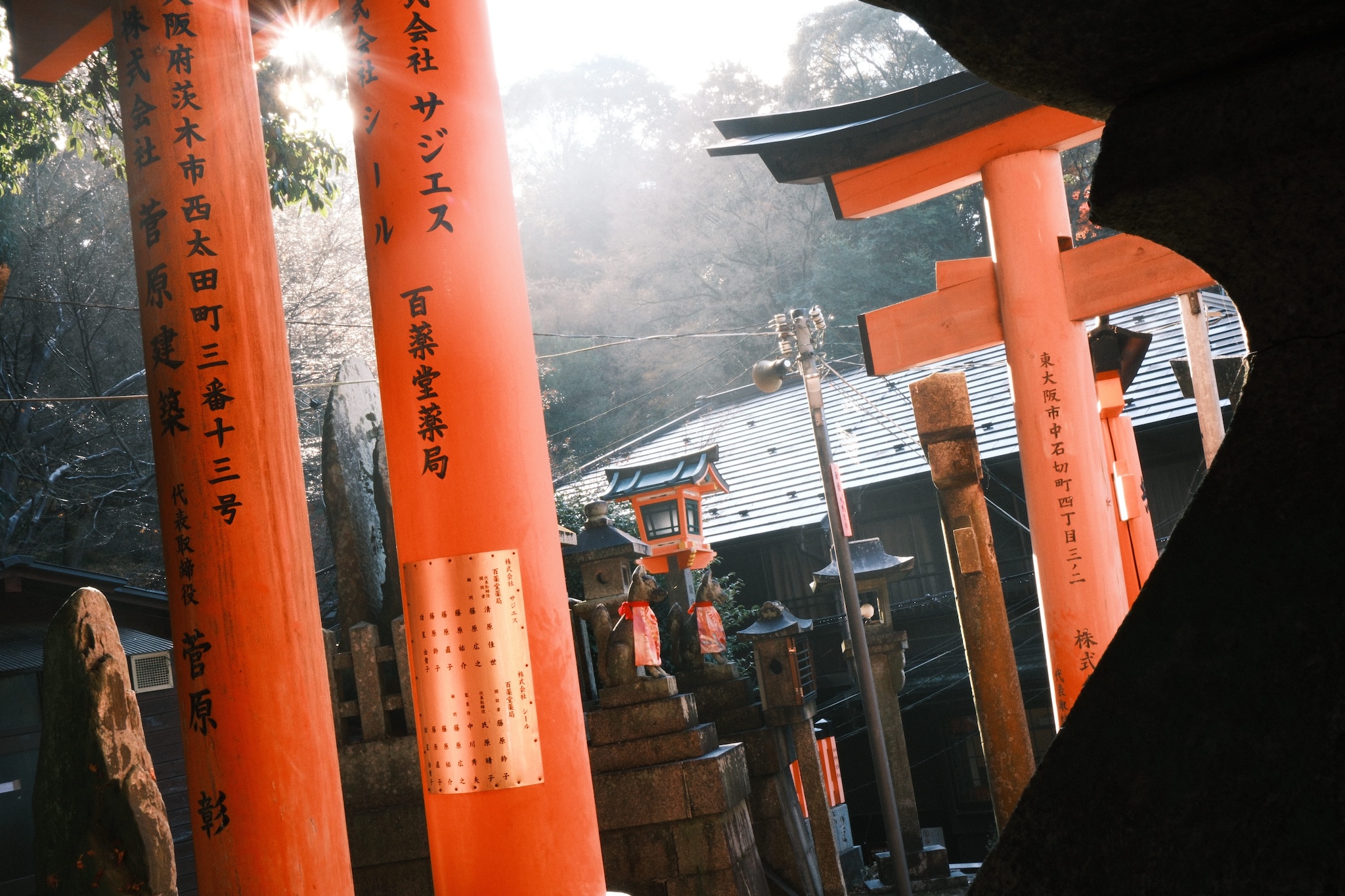 Torii gates with a small building in the background