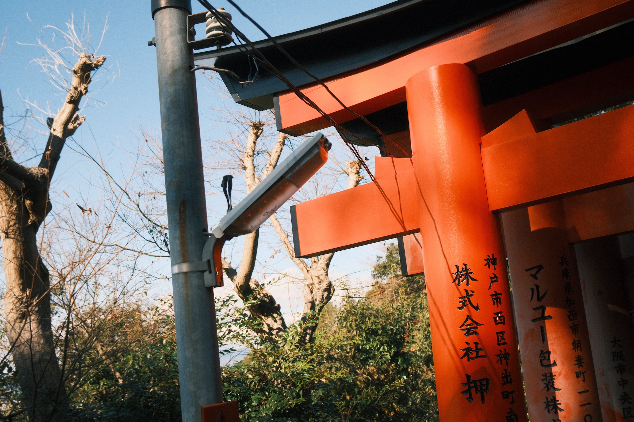 Japan Day 9: Fushimi Inari