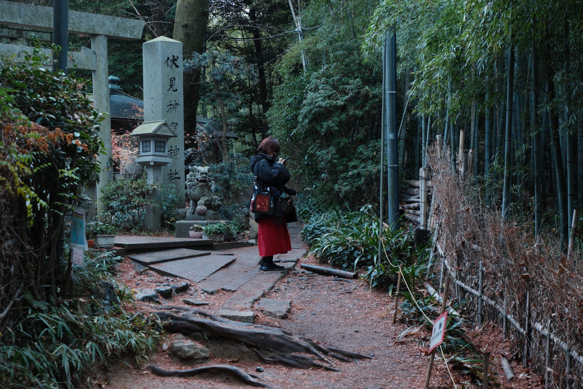 A lady on her phone but its artistic I swear